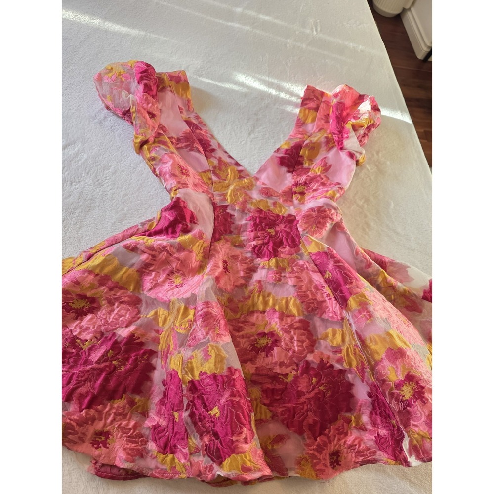 Barbie Core Coquette Showpo Floral Organza Fit Flare Plunge Mini Dress Pink US 4 - Picture 2 of 16